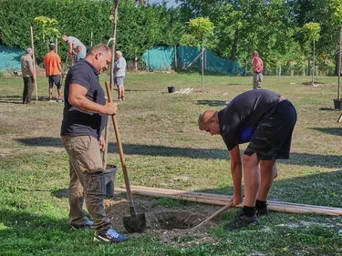 Parkosítás Ácsteszéren