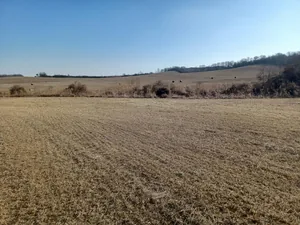 Élményösvény / Kezdeti állapot