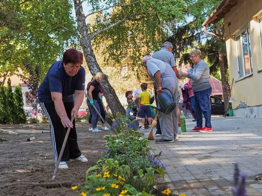 'Parkosítás Ácsteszéren' cikk borítóképe