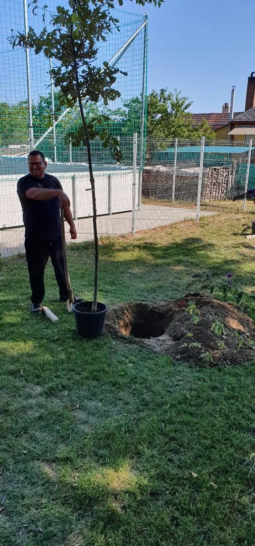Parkosítás Ácsteszéren