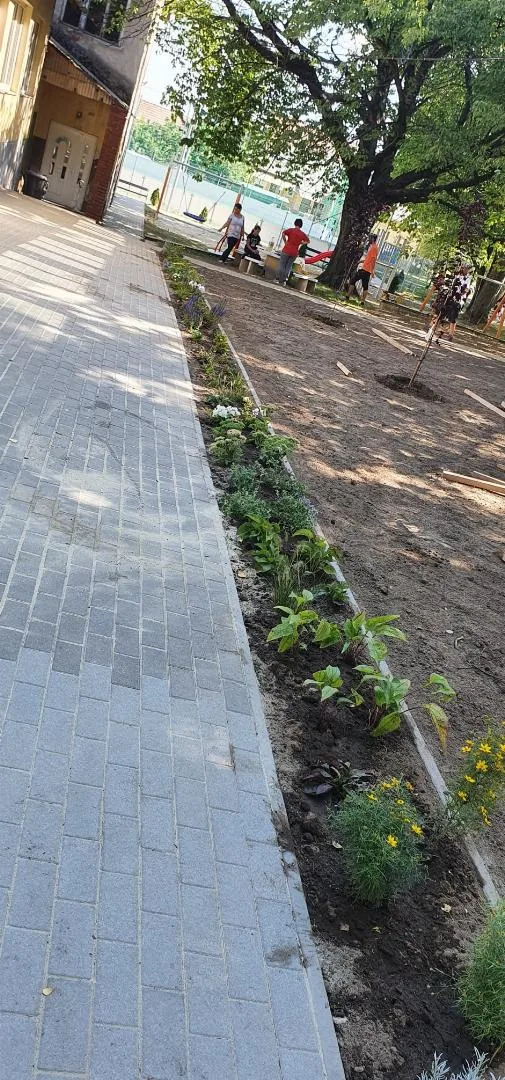 Parkosítás Ácsteszéren