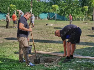 Fotók: