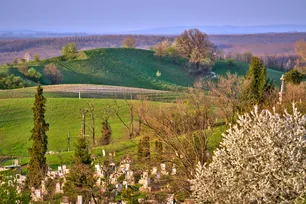 Ácsteszér