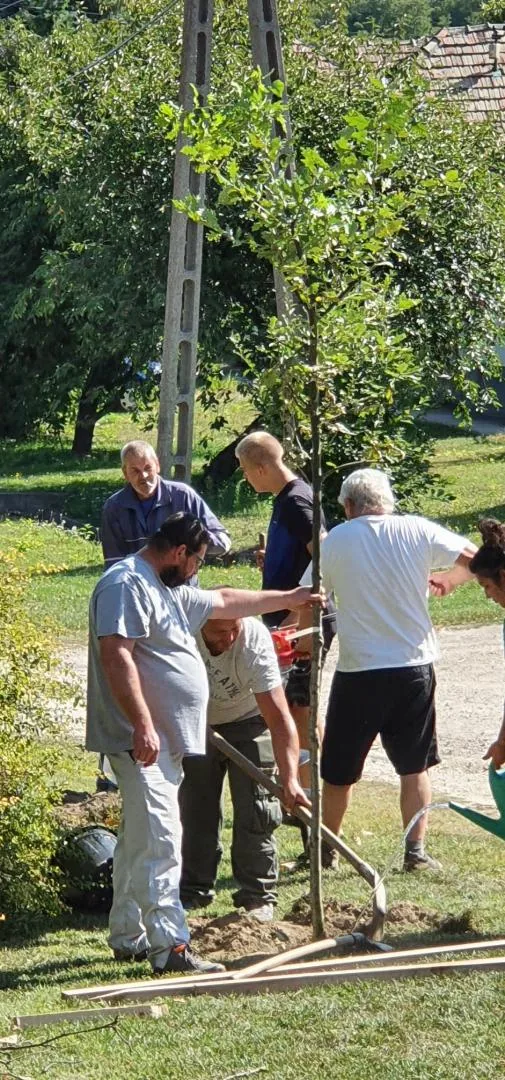 Parkosítás Ácsteszéren